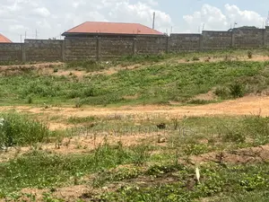 Double Plot for Sale at Kwanwoma