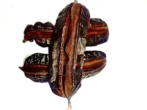 Prekese ( Aidan Fruit)