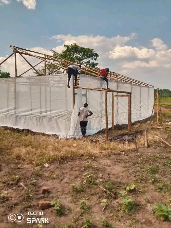 BSF Farm Setup
