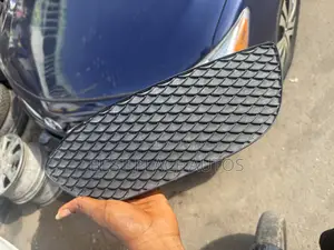 C300 Foglight Cover