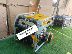 Renewal Energy 10kva Petrol Genset