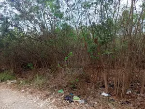 Prime One-acre Land For Sale – Labone Main Road