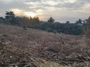 Land for Sale at Nsawam Area