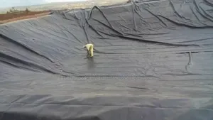 Dam and Fish Pond Large Scale Construction