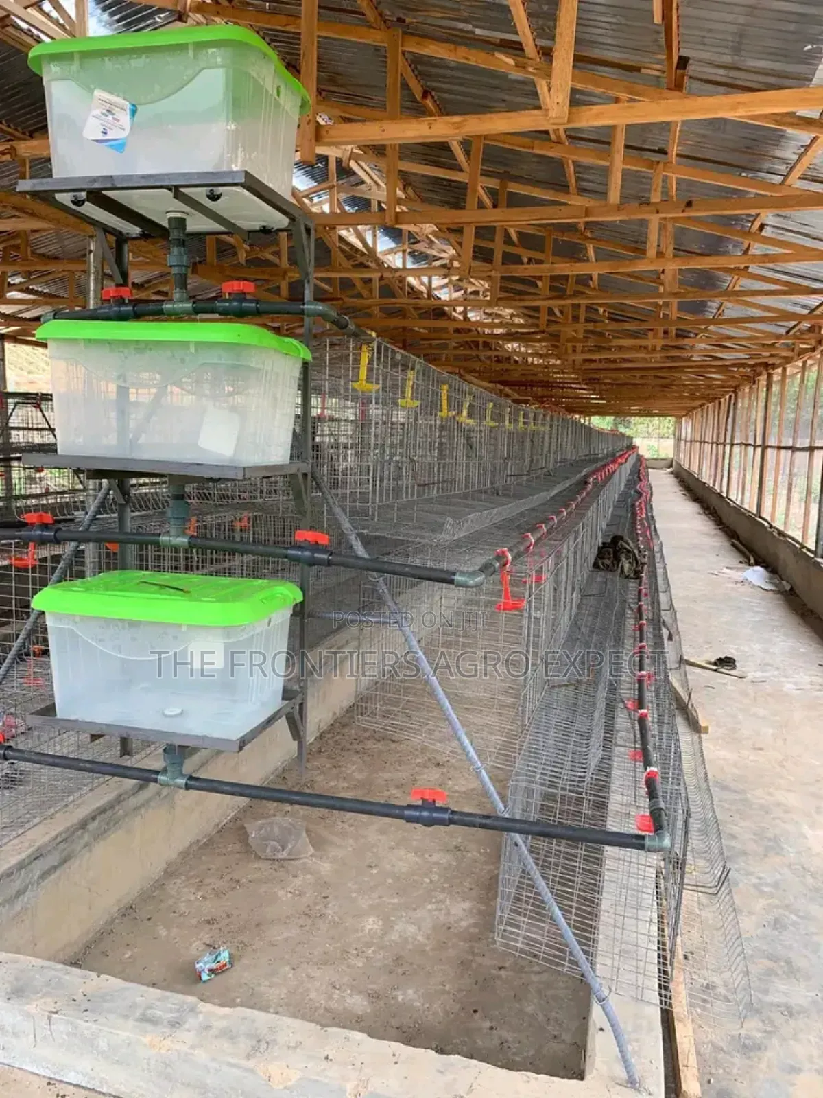 Battery Cage and Coop Construction
