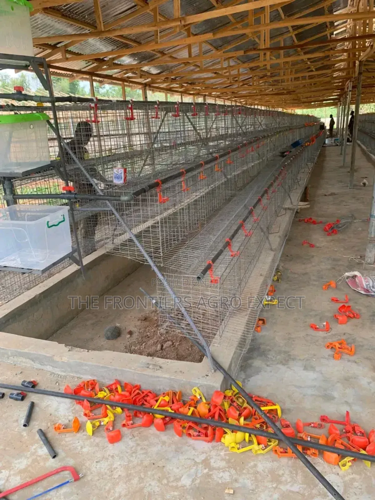 Battery Cage and Coop Construction