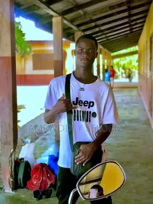 I'm Selorm Felix Amewode