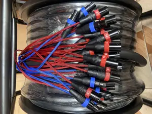 Audio Link 24channel