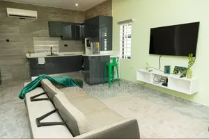 Furnished 2bdrm Apartment in Tseaddo for rent