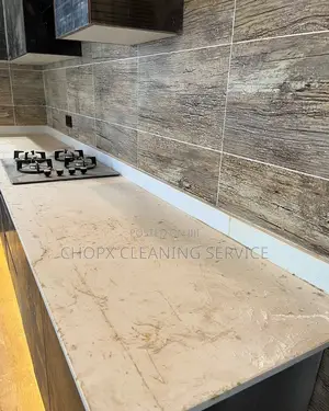 Experience the Ultimate Clean With Our Expert Team