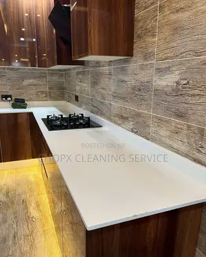 Experience the Ultimate Clean With Our Expert Team