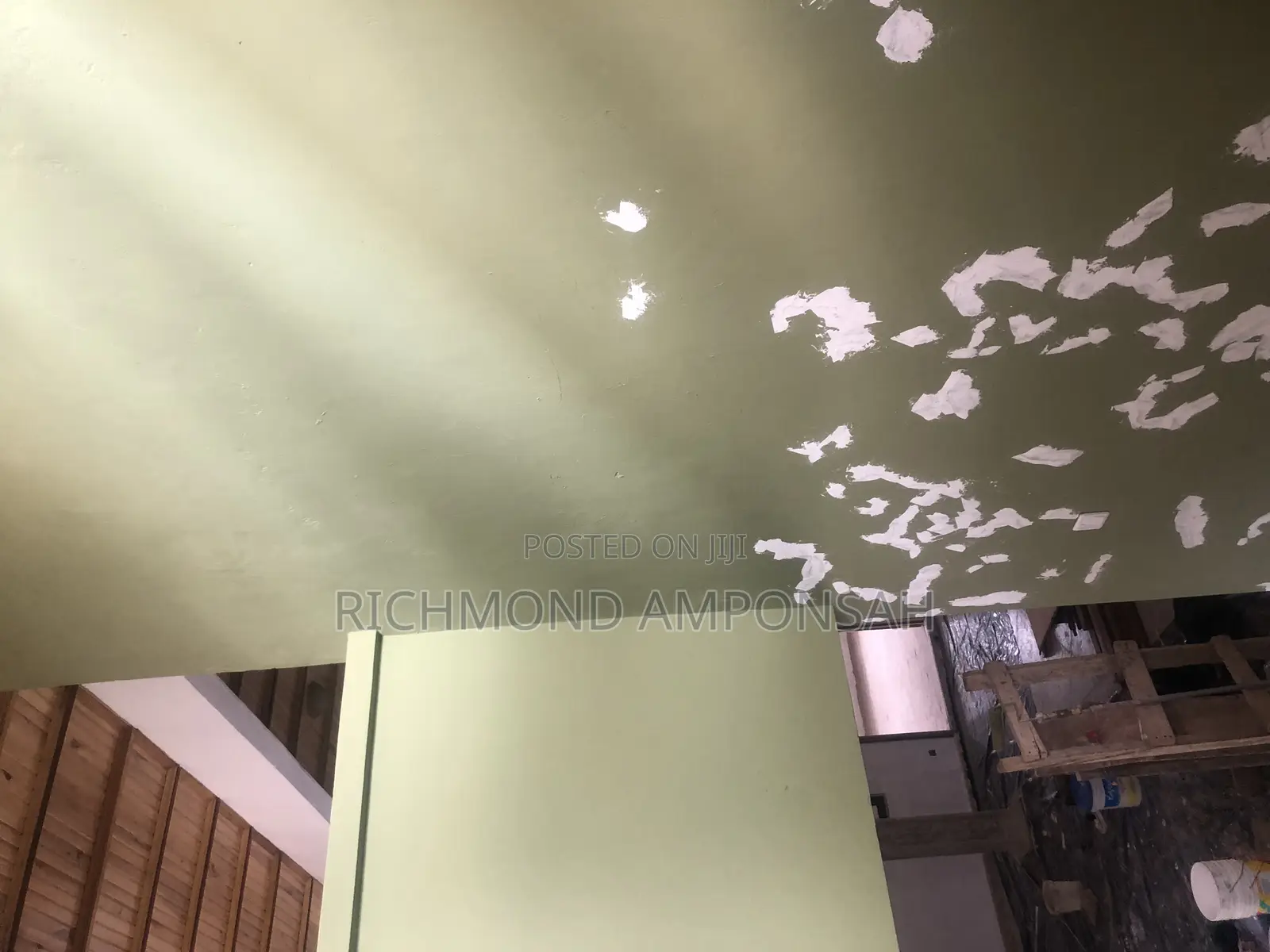 Professional Painter