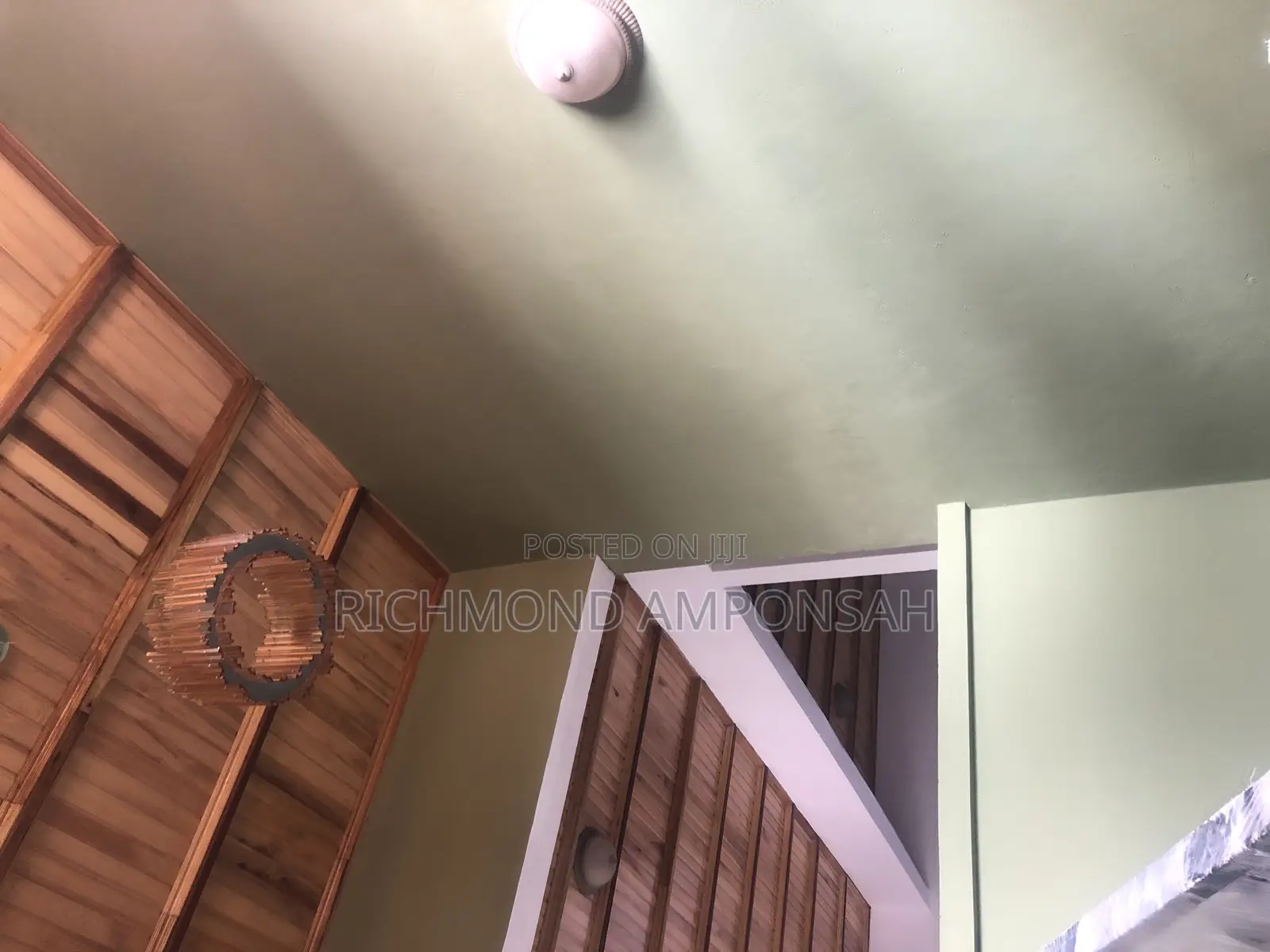 Professional Painter