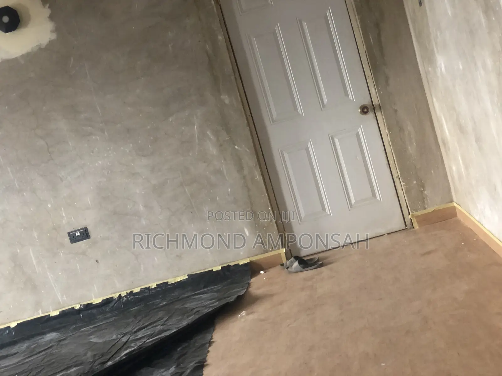 Professional Painter