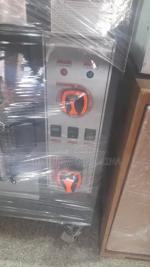 Mario Gas Rotisserie for Chicken