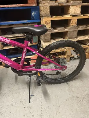 Verve 20" Mystic Pink Kids' Bicycle