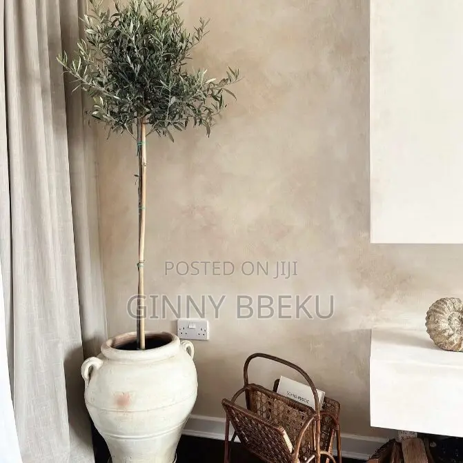 Lime Wash Wall Designs / Aesthetic Walls