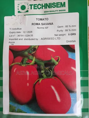Tomato Seeds