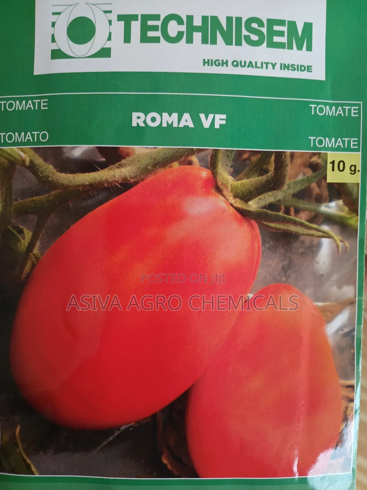 Tomato Seeds