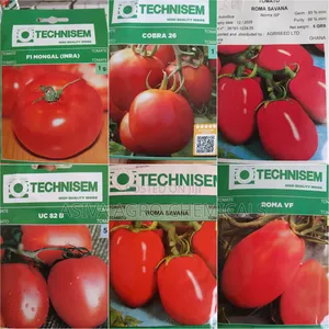 Tomato Seeds