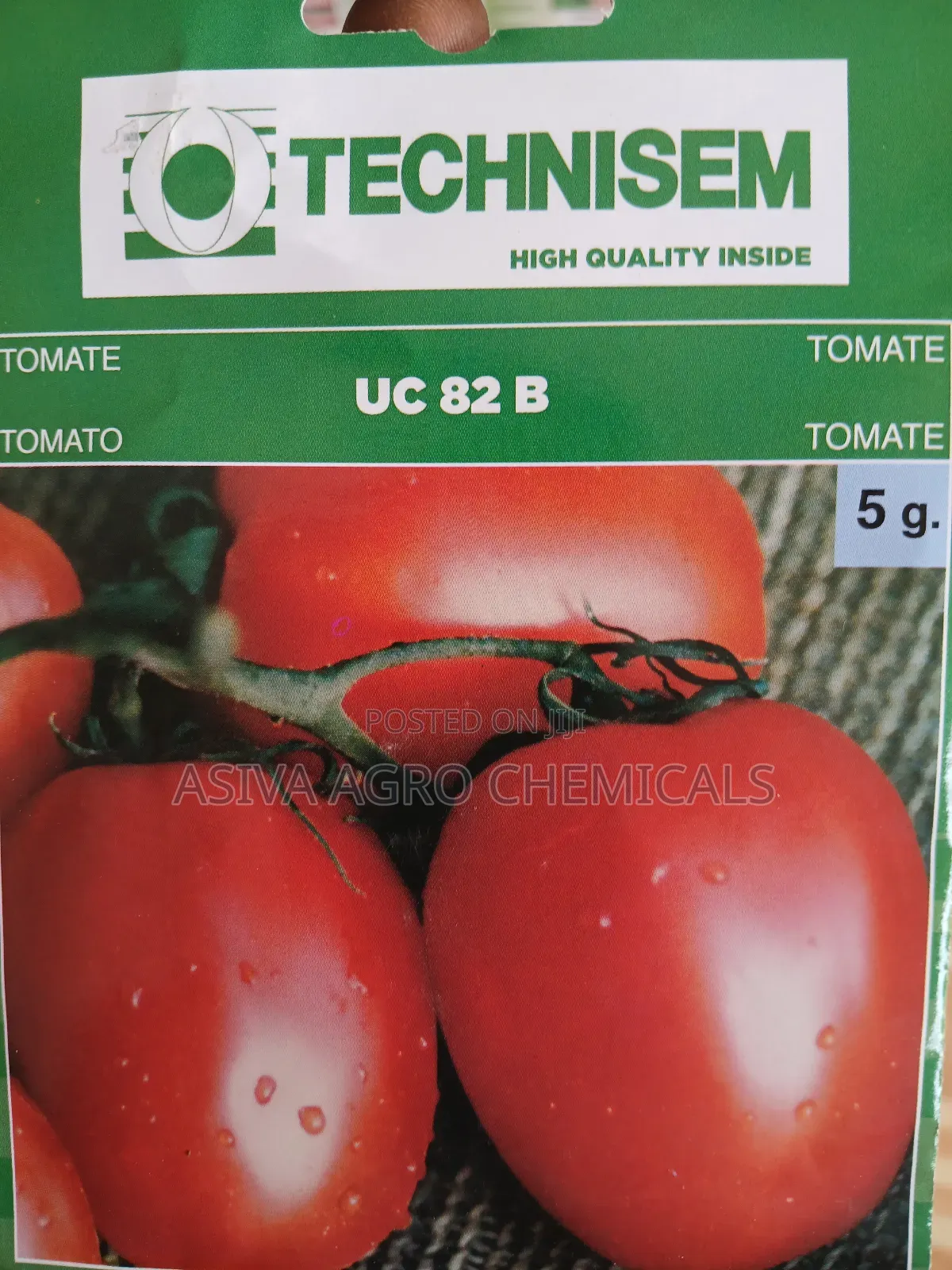 Tomato Seeds