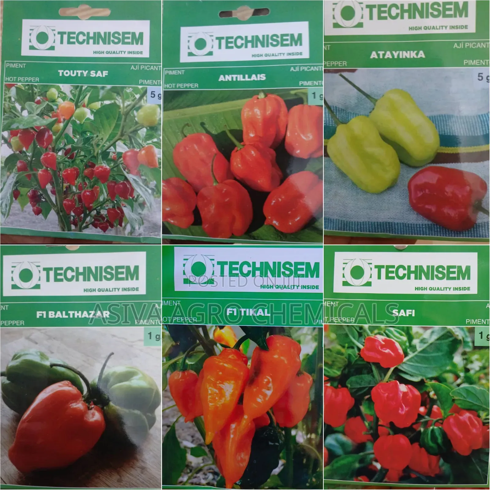 Pepper Seeds