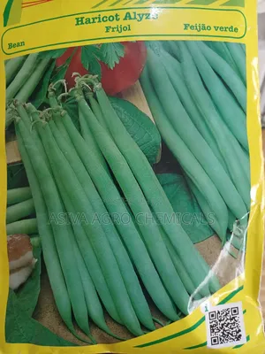 Beans Haricot (Green Beans) Seeds