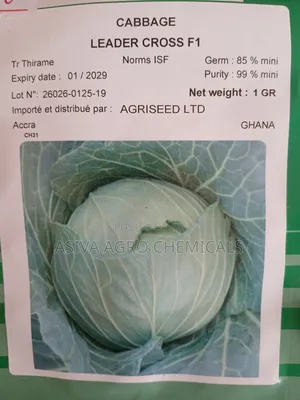 Cabbage(Red and Green) Seeds