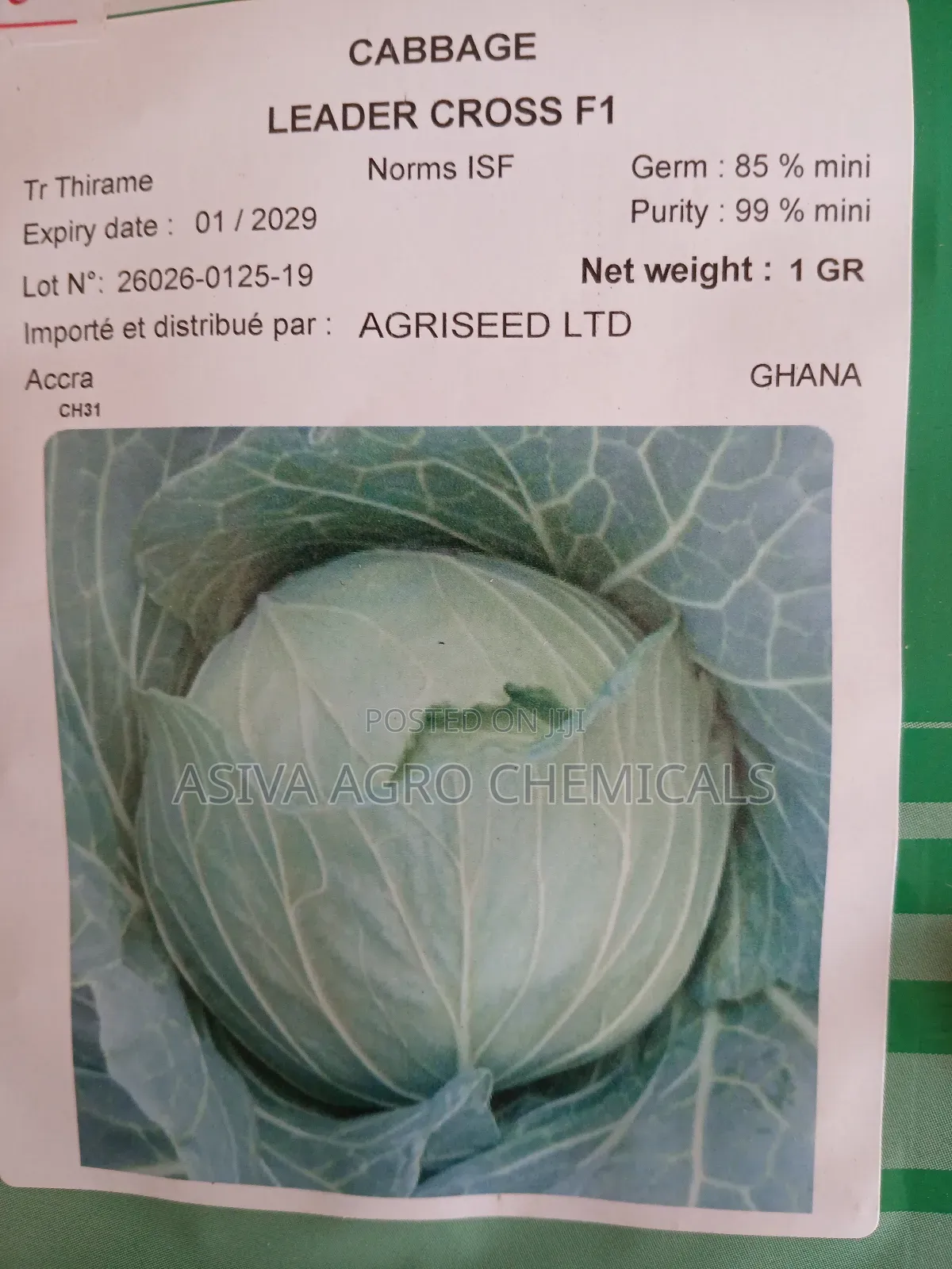 Cabbage(Red and Green) Seeds