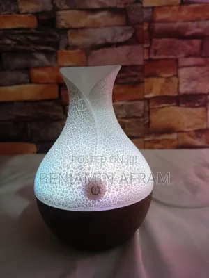 Electric Love Life Diffuser and Humidifier