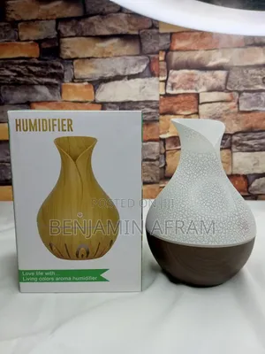 Electric Love Life Diffuser and Humidifier