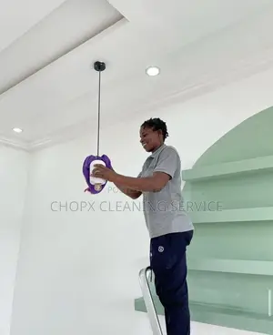 Professional Home and Office Cleaning Services