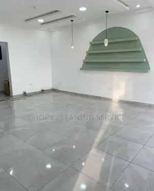 Professional Home and Office Cleaning Services