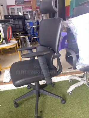 Orthopedic Quality Leather Chair and Back Support