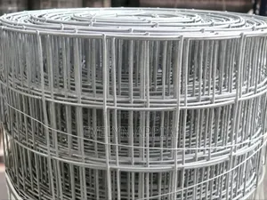 Galvanized 2*2 Welded Mesh