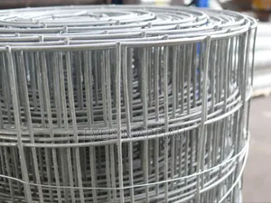 Galvanized 2*2 Welded Mesh