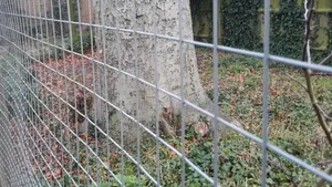 Galvanized 2*2 Welded Mesh
