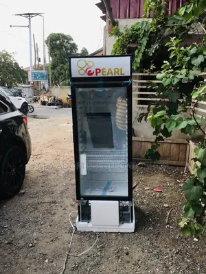 Pearl 250 Free Standing Fridge With Glass Finishing