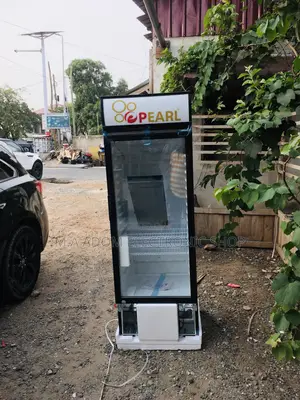 Pearl 250 Free Standing Fridge With Glass Finishing