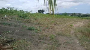 Very Nice Plots for Sale at Tsopoli