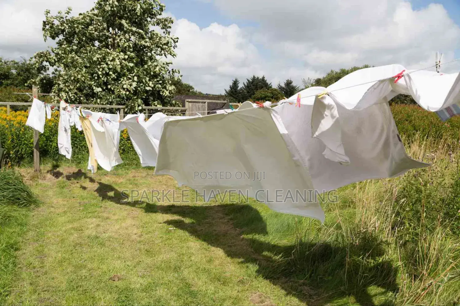 Door-to-Door Laundry and Home Cleaning Services.