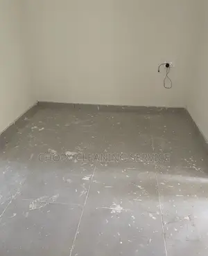 Bringing Immaculate Cleanliness to Your Home and Office