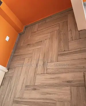 Bringing Immaculate Cleanliness to Your Home and Office