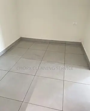 Elevating Cleanliness to Perfection