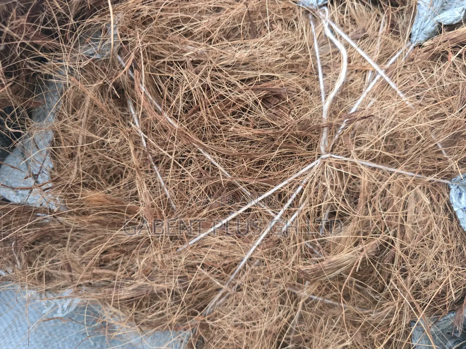 Treated Coconut Fiber For Biodigester
