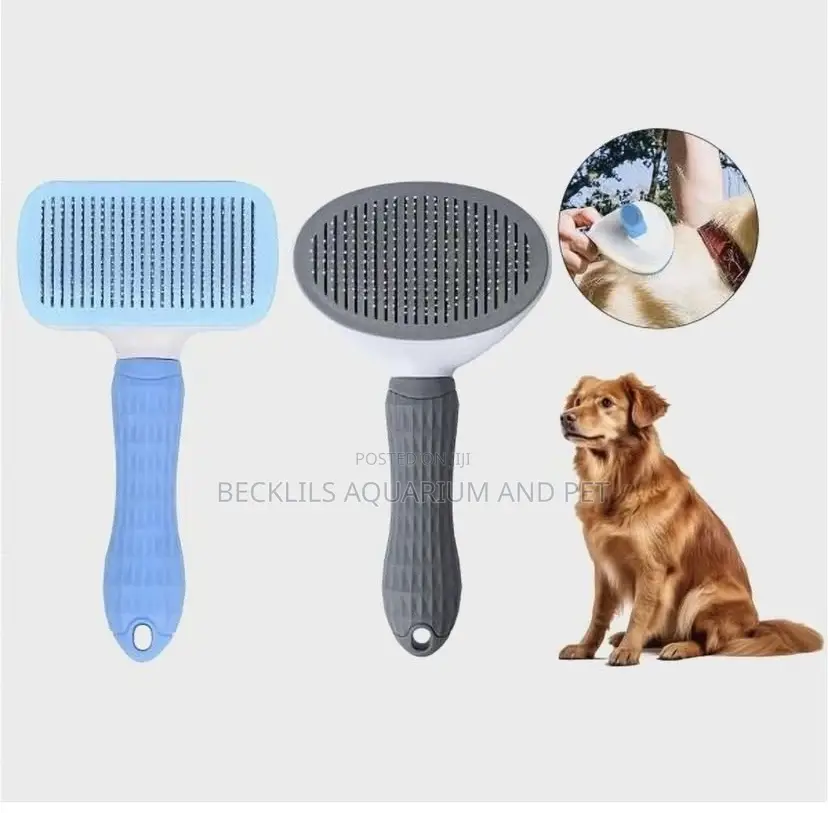 Pretty Brush for All Types of Dog