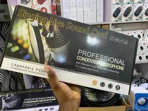 Professional Condenser Microphone