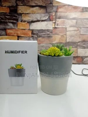 Plant Air Freshener Humidifier