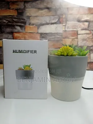 Room Plant Humidifier