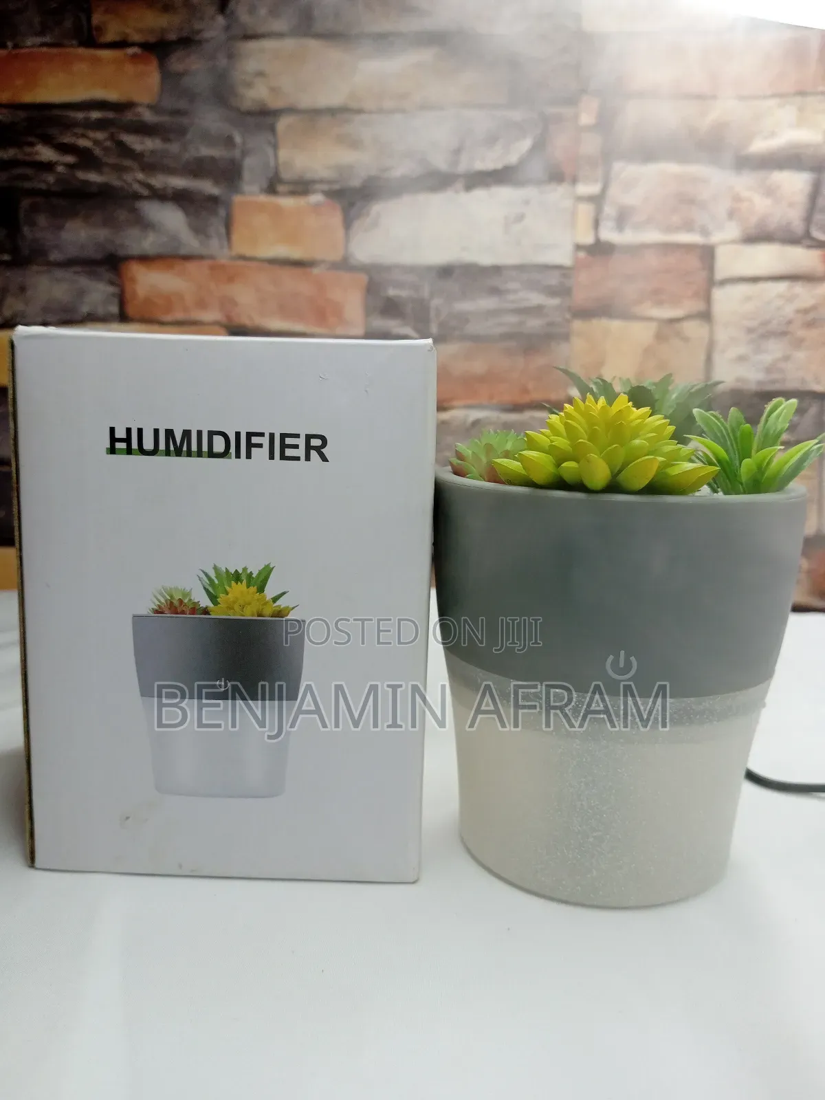 Room Plant Humidifier